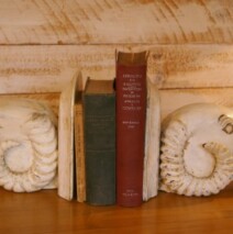 serre livres béliers