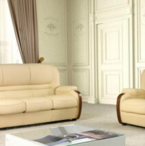 Les salons traditionnels