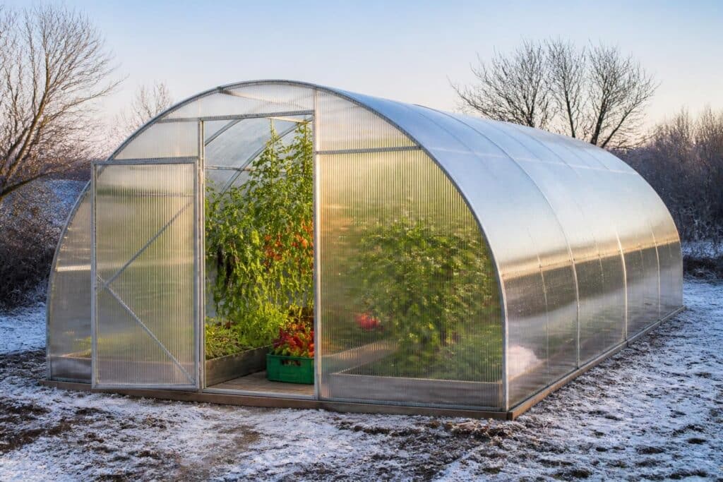 découvrez comment une serre en polycarbonate peut prolonger la saison des cultures en offrant une protection optimale contre les intempéries et en maintenant une température idéale pour la croissance des plantes.