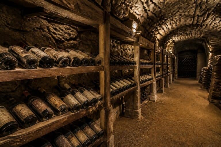 découvrez comment la cave à vin de vieillissement assure une conservation optimale des grands crus, en préservant leurs arômes et leur qualité au fil du temps.