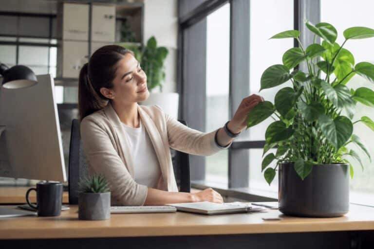 découvrez comment les plantes dépolluantes peuvent contribuer à réduire le stress au travail en améliorant la qualité de l'air et en créant un environnement apaisant.