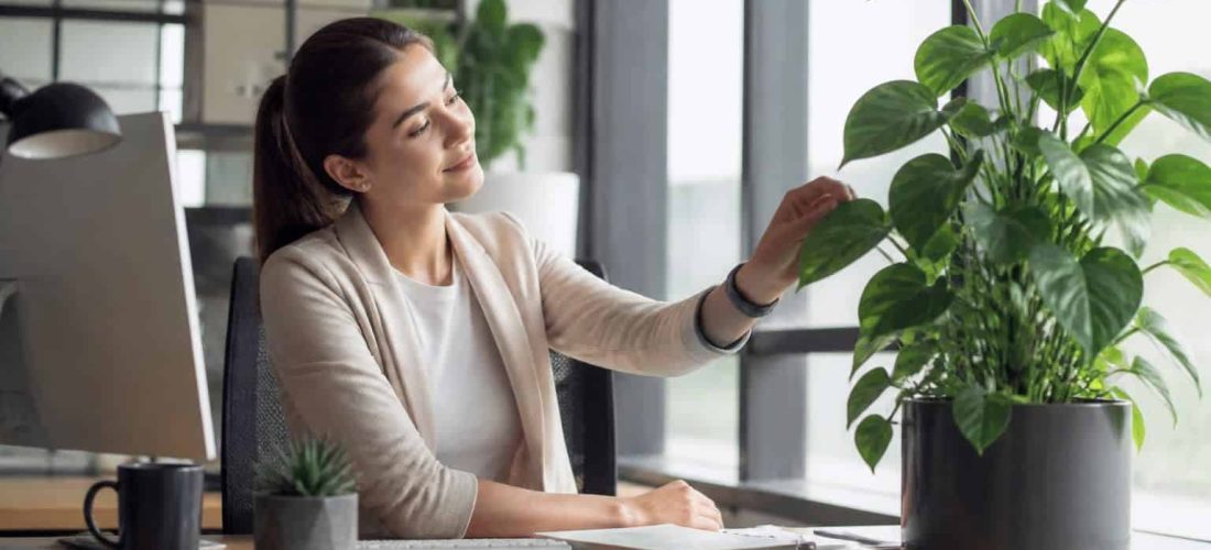 découvrez comment les plantes dépolluantes peuvent contribuer à réduire le stress au travail en améliorant la qualité de l'air et en créant un environnement apaisant.