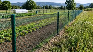 découvrez comment le grillage souple plastifié contribue à délimiter votre terrain de façon économique, pratique et durable.